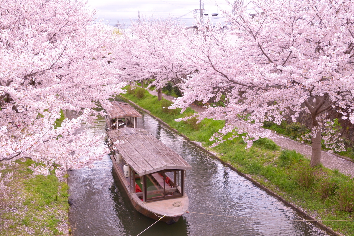 f:id:haru-itinerary:20200109213151j:plain f:id:haru-itinerary:20200109213151j:plain