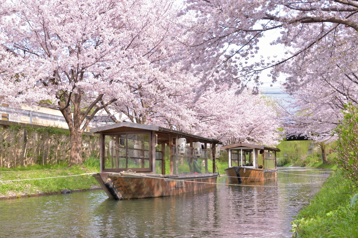 f:id:haru-itinerary:20200109213210j:plain f:id:haru-itinerary:20200109213210j:plain