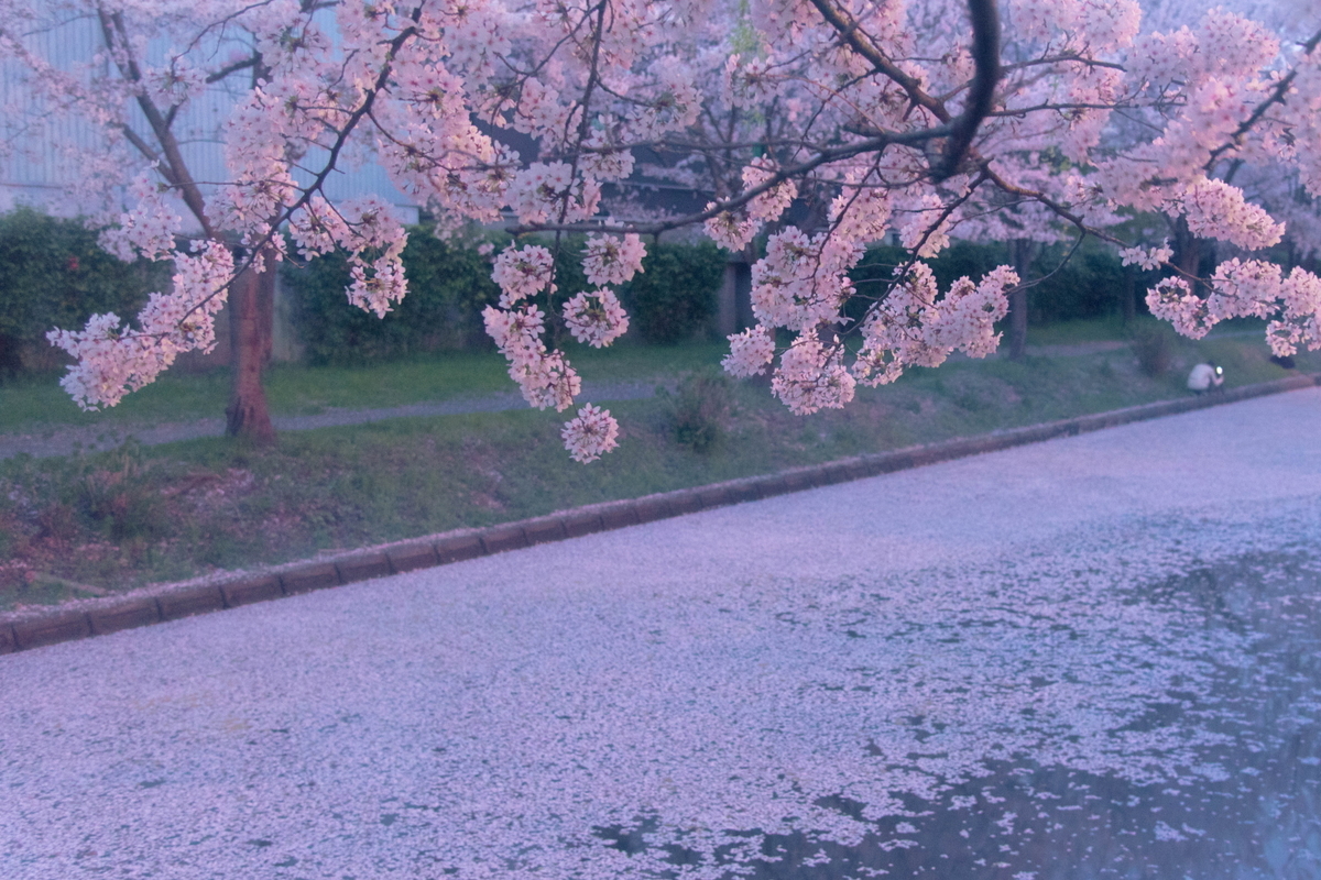 f:id:haru-itinerary:20200109213319j:plain f:id:haru-itinerary:20200109213319j:plain