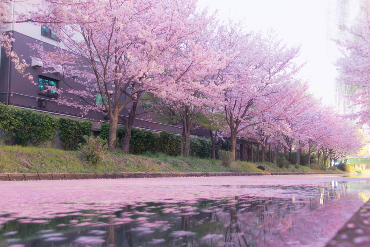 f:id:haru-itinerary:20200109213337j:plain f:id:haru-itinerary:20200109213337j:plain