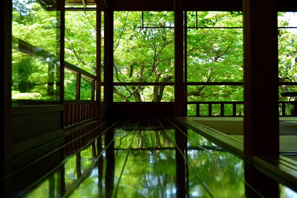 f:id:haru-itinerary:20200112191045j:plain f:id:haru-itinerary:20200112191045j:plain