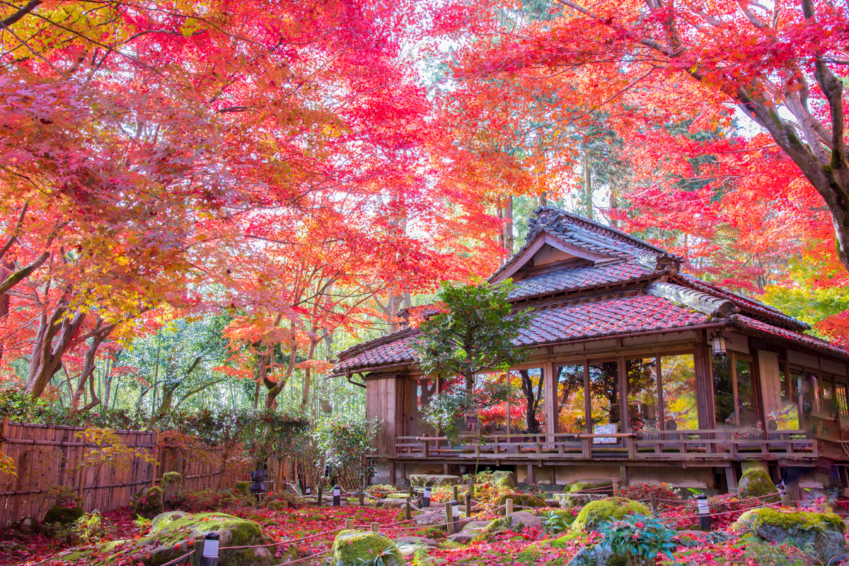 f:id:haru-itinerary:20200114204505j:plain f:id:haru-itinerary:20200114204505j:plain
