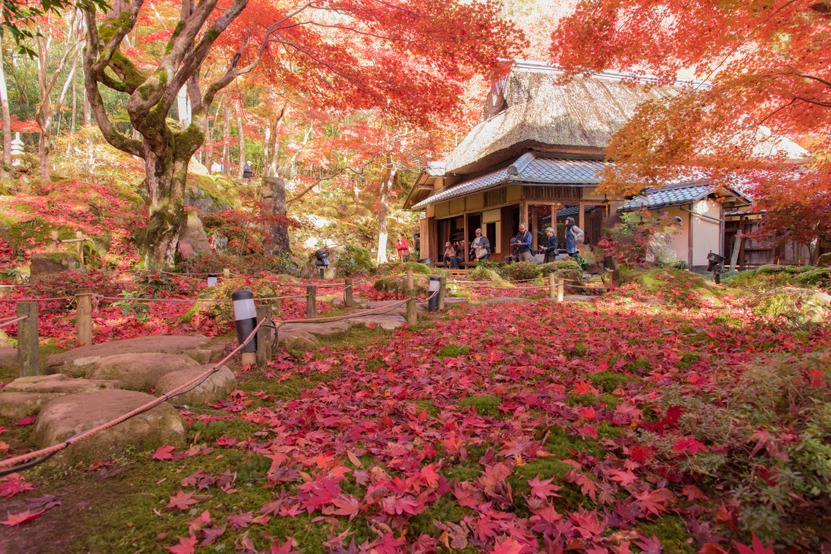 f:id:haru-itinerary:20200114204647j:plain f:id:haru-itinerary:20200114204647j:plain