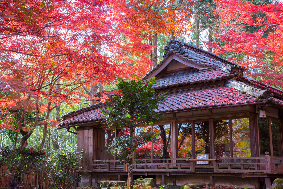f:id:haru-itinerary:20200114204727j:plain f:id:haru-itinerary:20200114204727j:plain
