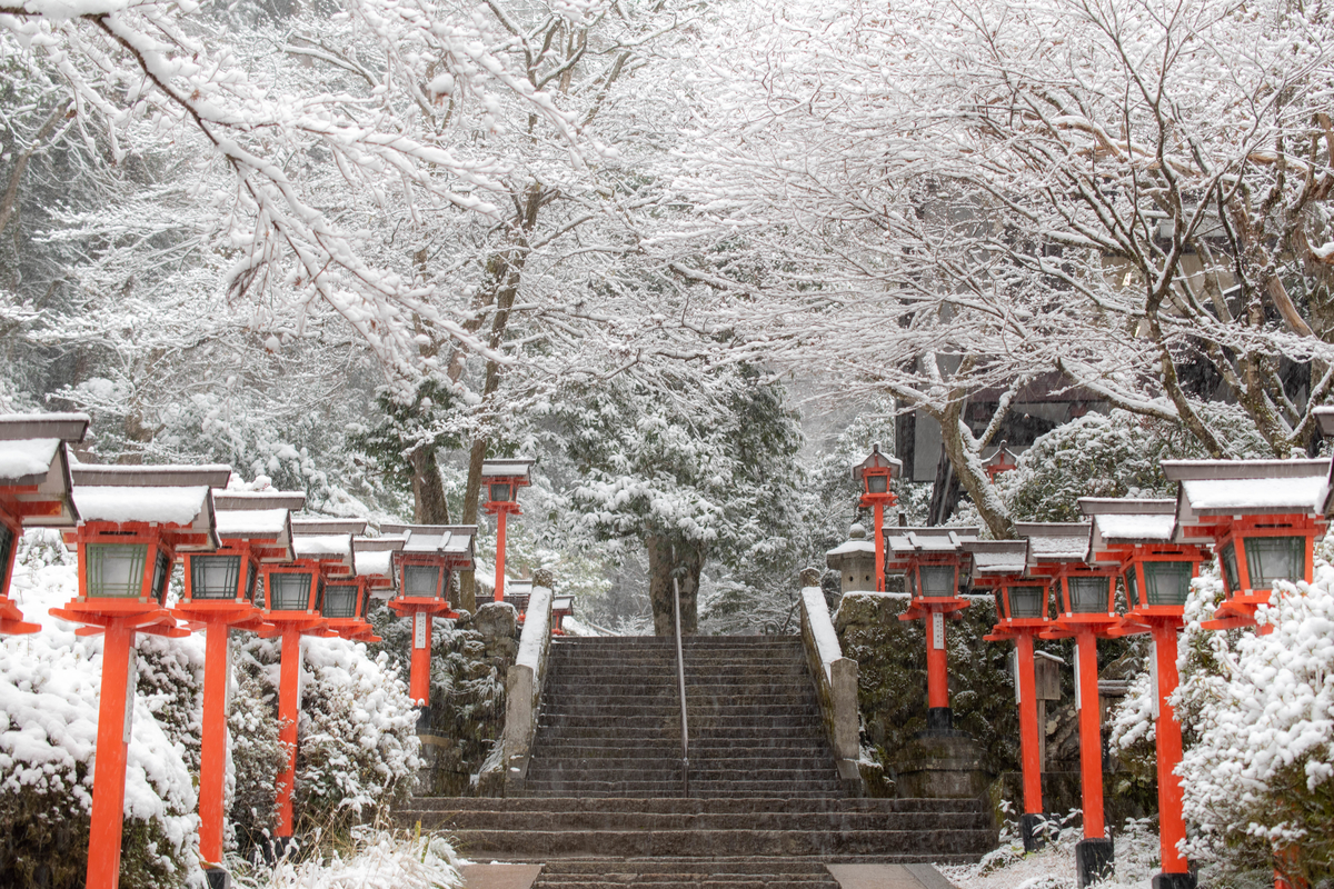 f:id:haru-itinerary:20200114212931j:plain f:id:haru-itinerary:20200114212931j:plain