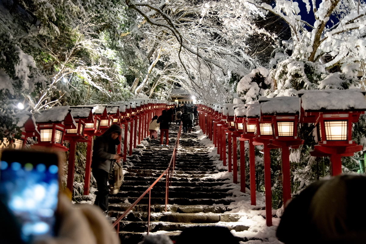 f:id:haru-itinerary:20200114213017j:plain f:id:haru-itinerary:20200114213017j:plain