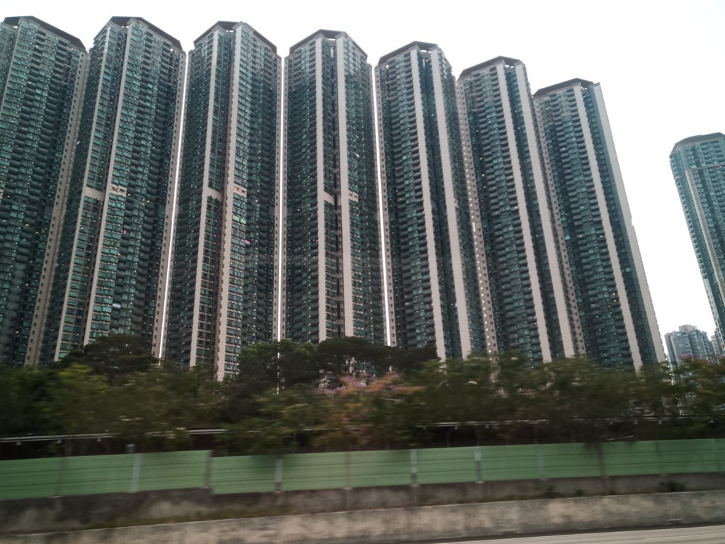 f:id:haru-komugi:20190224170430j:plain f:id:haru-komugi:20190224170430j:plain