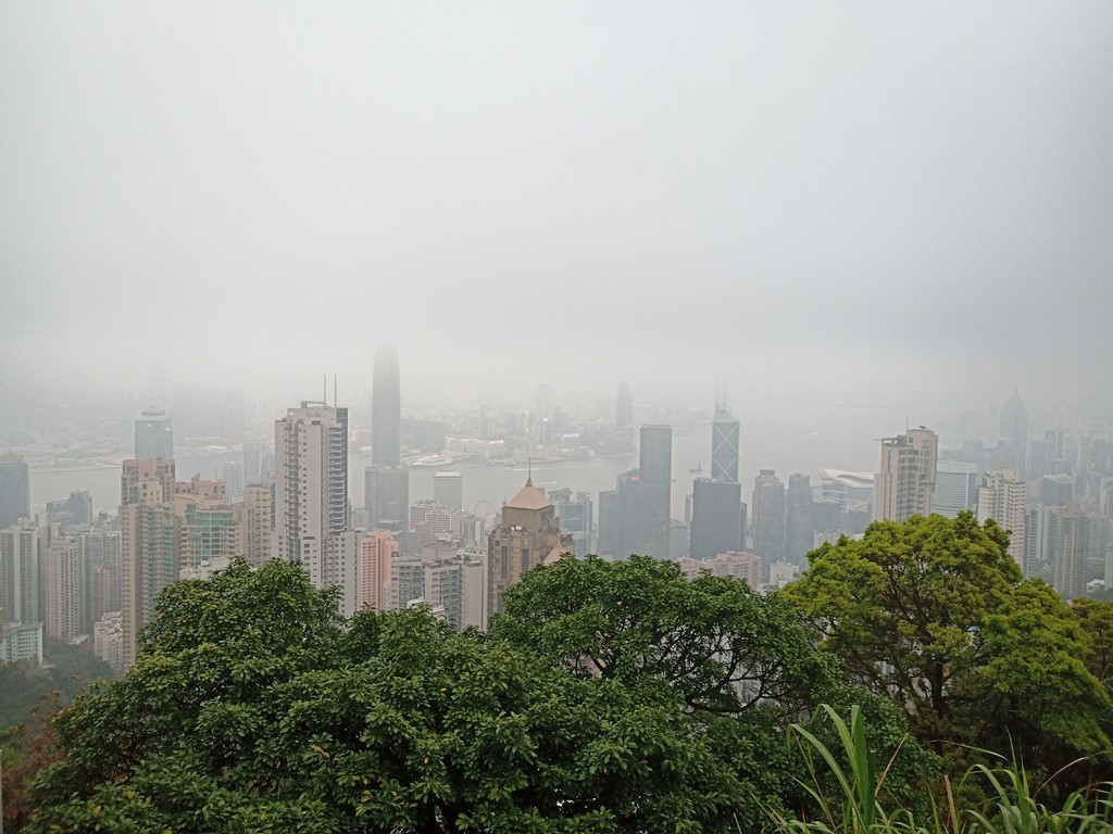 f:id:haru-komugi:20190225084926j:plain f:id:haru-komugi:20190225084926j:plain