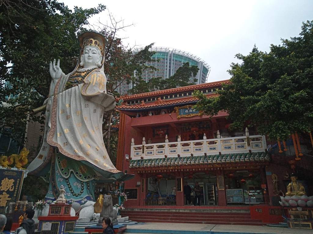 f:id:haru-komugi:20190225094550j:plain f:id:haru-komugi:20190225094550j:plain