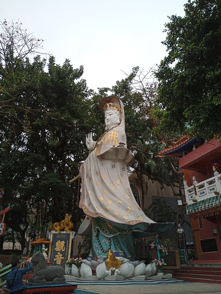 f:id:haru-komugi:20190225095603j:plain f:id:haru-komugi:20190225095603j:plain