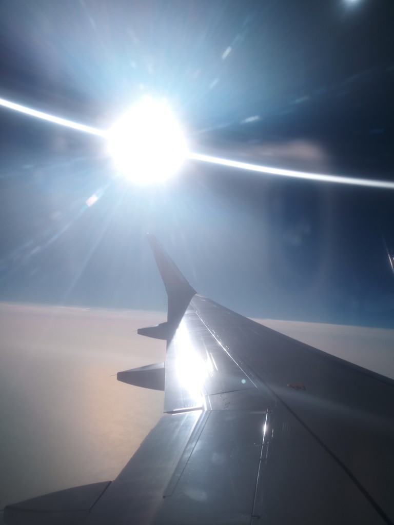 f:id:haru-komugi:20190226152258j:plain f:id:haru-komugi:20190226152258j:plain