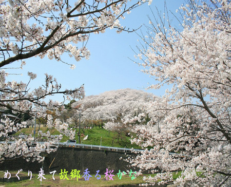 f:id:haru-leo:20080408223907j:image