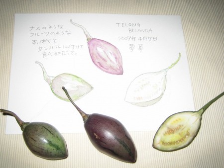 f:id:haru-leo:20090407195914j:image