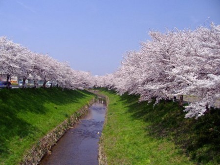 f:id:haru-leo:20090411100845j:image