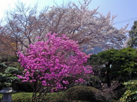 f:id:haru-leo:20090412090602j:image