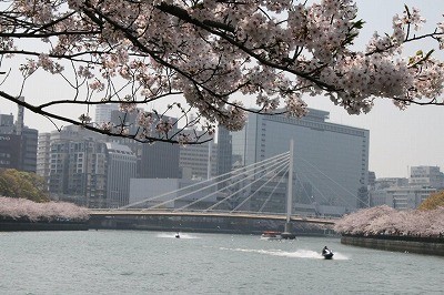 f:id:haru-leo:20090429085912j:image