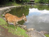 20090601065138