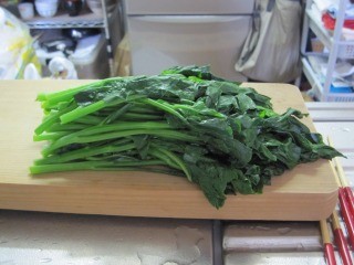 f:id:haru-leo:20100506195812j:image f:id:haru-leo:20100506195812j:image
