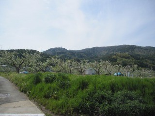 f:id:haru-leo:20100510105410j:image