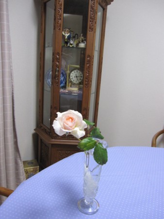 20100608051606