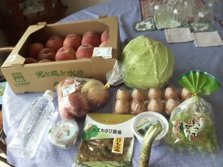 f:id:haru-leo:20100718163340j:image