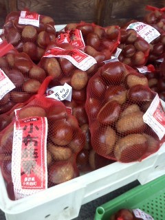 f:id:haru-leo:20101006103049j:image