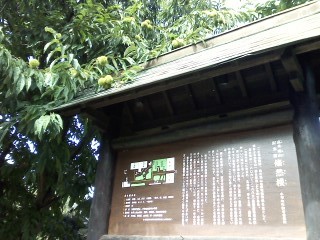 f:id:haru-leo:20101006111205j:image