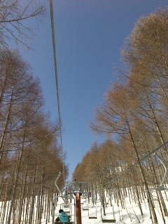 f:id:haru-leo:20110219132622j:image