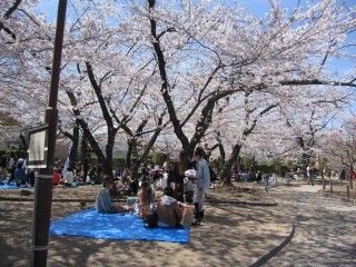 f:id:haru-leo:20110417172548j:image