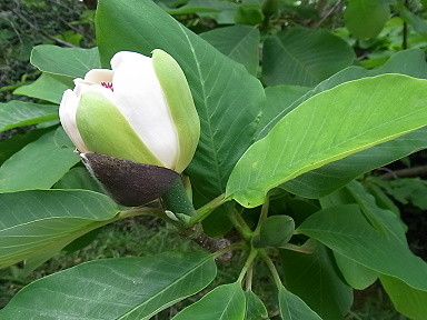 20110514142304