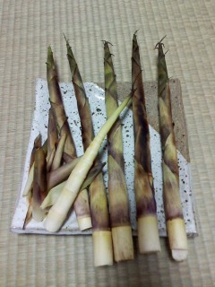 f:id:haru-leo:20110601191221j:image f:id:haru-leo:20110601191221j:image