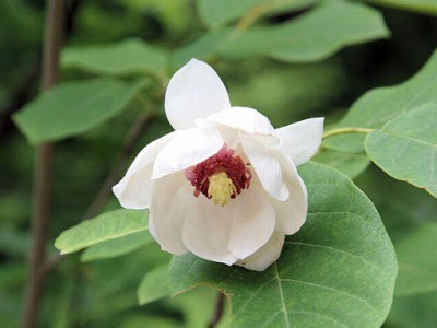 f:id:haru-leo:20110622081241j:image f:id:haru-leo:20110622081241j:image