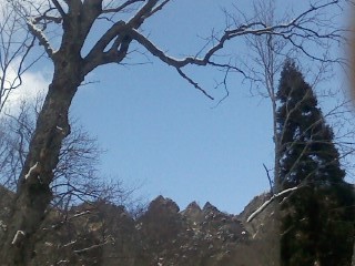 f:id:haru-leo:20111211124655j:image