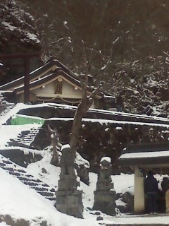 f:id:haru-leo:20111211130116j:image