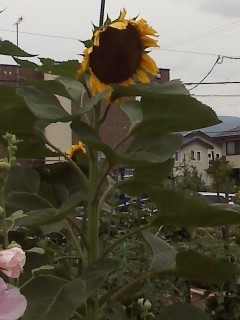 f:id:haru-leo:20120706110726j:image