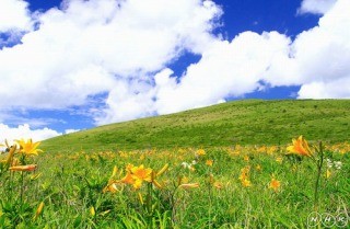 f:id:haru-leo:20120726075822j:image