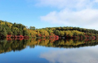 f:id:haru-leo:20121007173334j:image