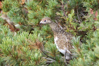 f:id:haru-leo:20121007194405j:image