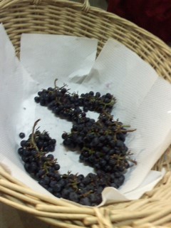 f:id:haru-leo:20121028103955j:image