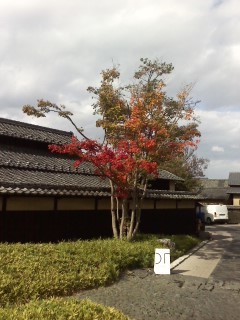 f:id:haru-leo:20121102124736j:image