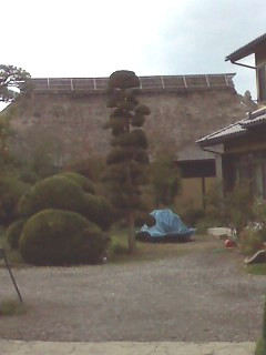 f:id:haru-leo:20121102125306j:image