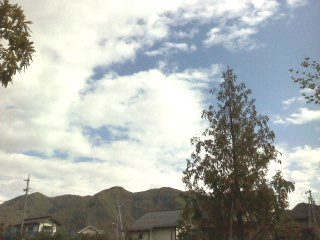 f:id:haru-leo:20121102125540j:image
