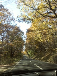 f:id:haru-leo:20121104132515j:image