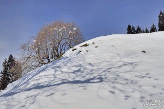 f:id:haru-leo:20121223112420j:image