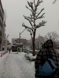 f:id:haru-leo:20130218121216j:image