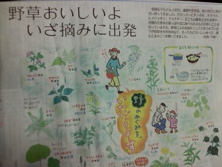 f:id:haru-leo:20130626115253j:image