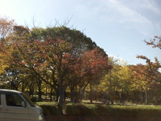 f:id:haru-leo:20131114104936j:image