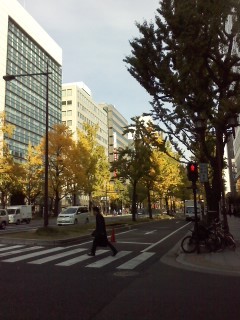 f:id:haru-leo:20131127095048j:image