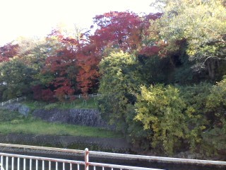f:id:haru-leo:20131130095358j:image