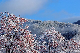 f:id:haru-leo:20131225181026j:image